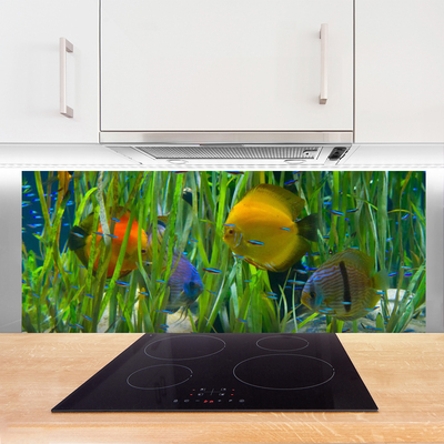 Küchenrückwand Fliesenspiegel Fische Natur