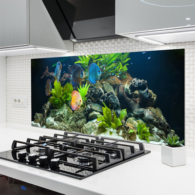 Küchenrückwand Fliesenspiegel Fische Steine Blätter Natur