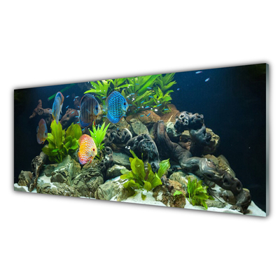 Küchenrückwand Fliesenspiegel Fische Steine Blätter Natur