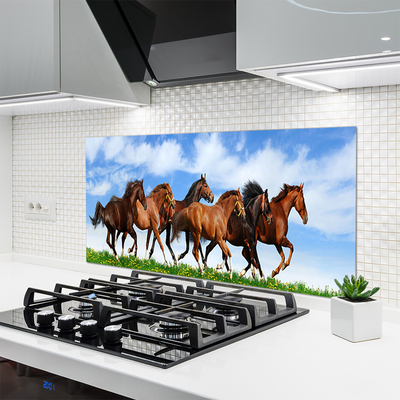 Küchenrückwand Fliesenspiegel Pferde Tiere