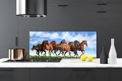 Küchenrückwand Fliesenspiegel Pferde Tiere