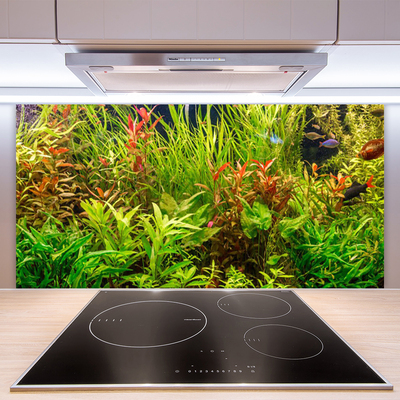 Küchenrückwand Fliesenspiegel Blattpflanzen Pflanzen