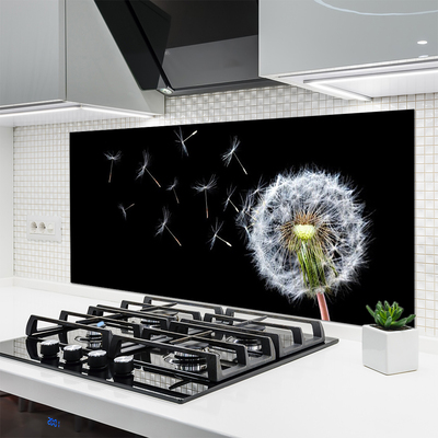 Küchenrückwand Fliesenspiegel Pusteblume Pflanzen