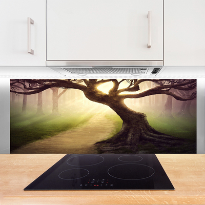 Küchenrückwand Fliesenspiegel Baum Natur