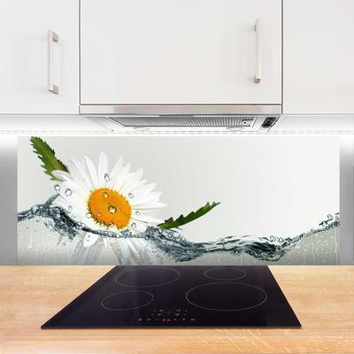 Küchenrückwand Fliesenspiegel Gänseblümchen Wasser Kunst